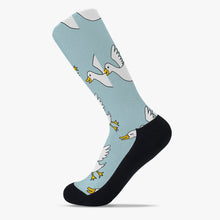 画像をギャラリービューアに読み込む, Ducks - Socks
